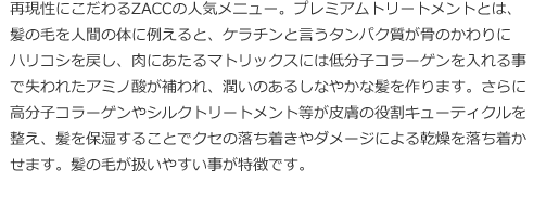 再現性にこだわるZACCの人気メニュー。